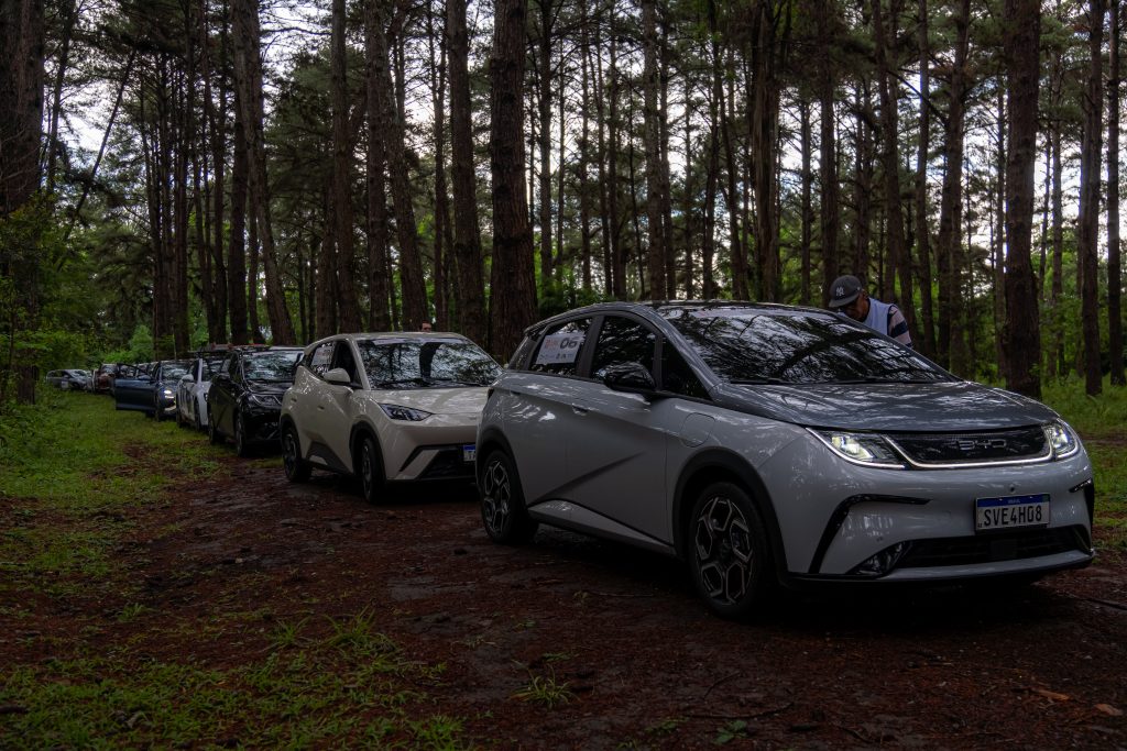 Carros elétricos em fila para a largada em meio à floresta em Pinhais.